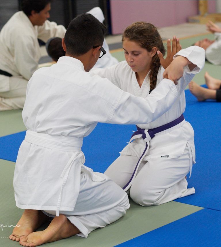 youth join in aikido seminar for all ages